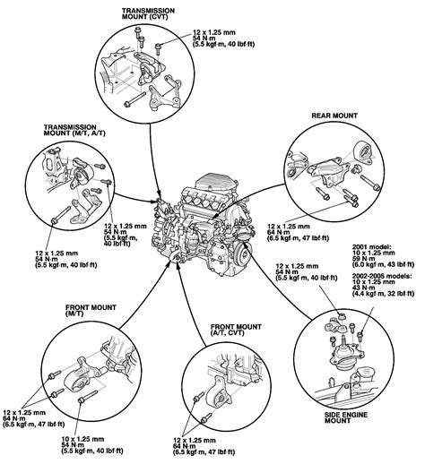 engine mount diagram